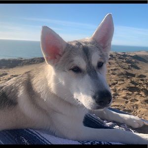 Meet your Posher, Erik